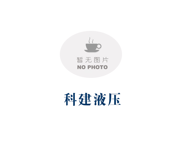 DSD系列電動油泵